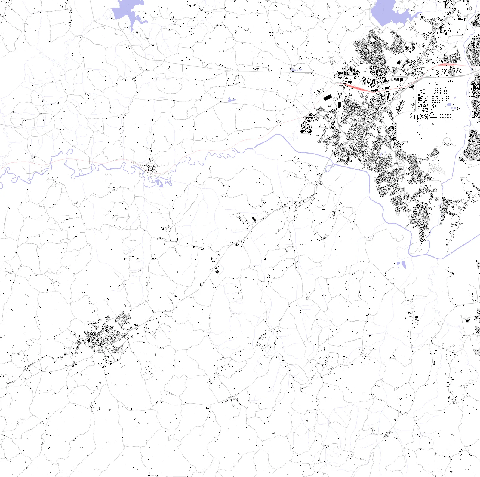 Araucária planta de cheios e vazios