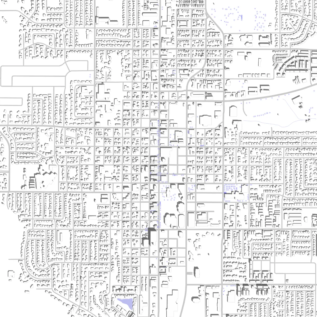 Carson City site plan (2.5 km)