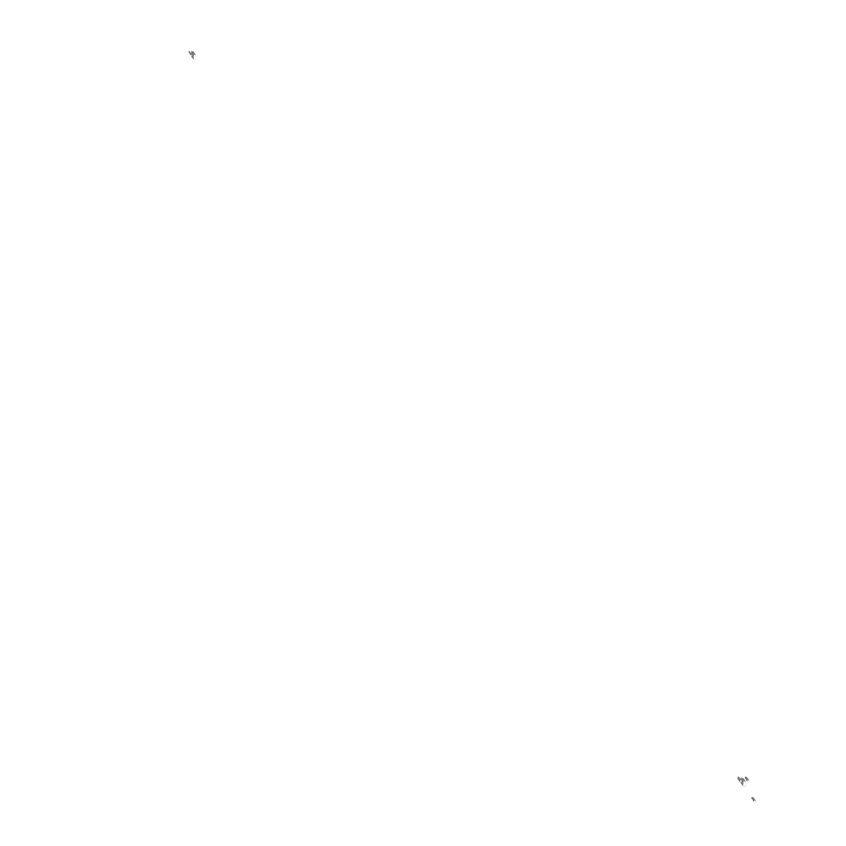 Chinandega site plan (2.5 km)