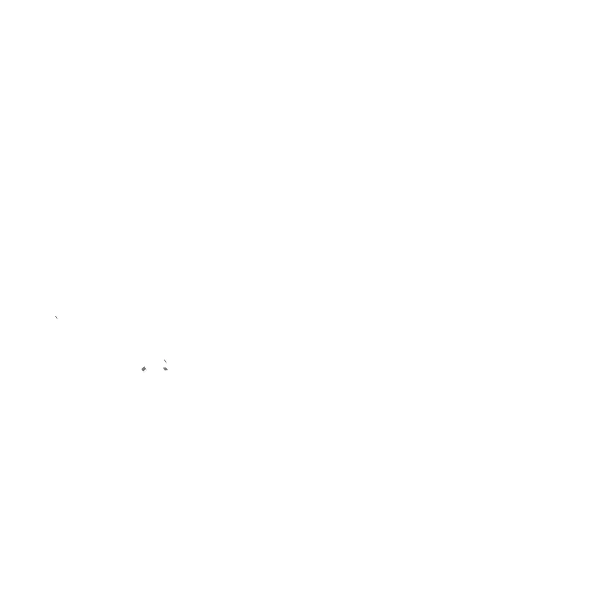 Rize site plan (2.5 km)
