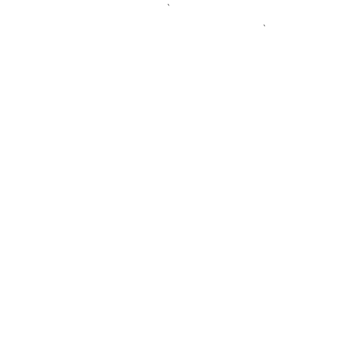 Sekong site plan (2.5 km)