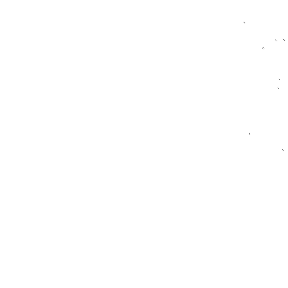 Terekeka site plan (2.5 km)