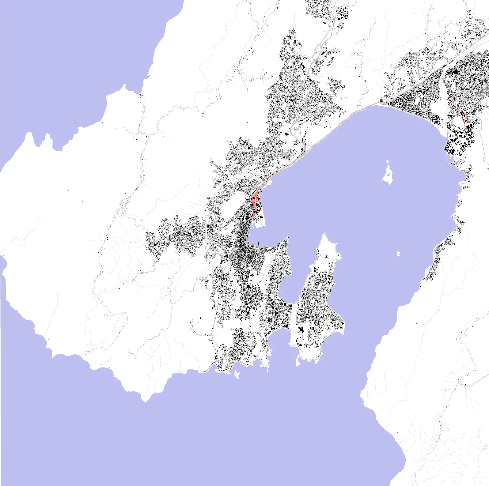 Wellington figure ground plan
