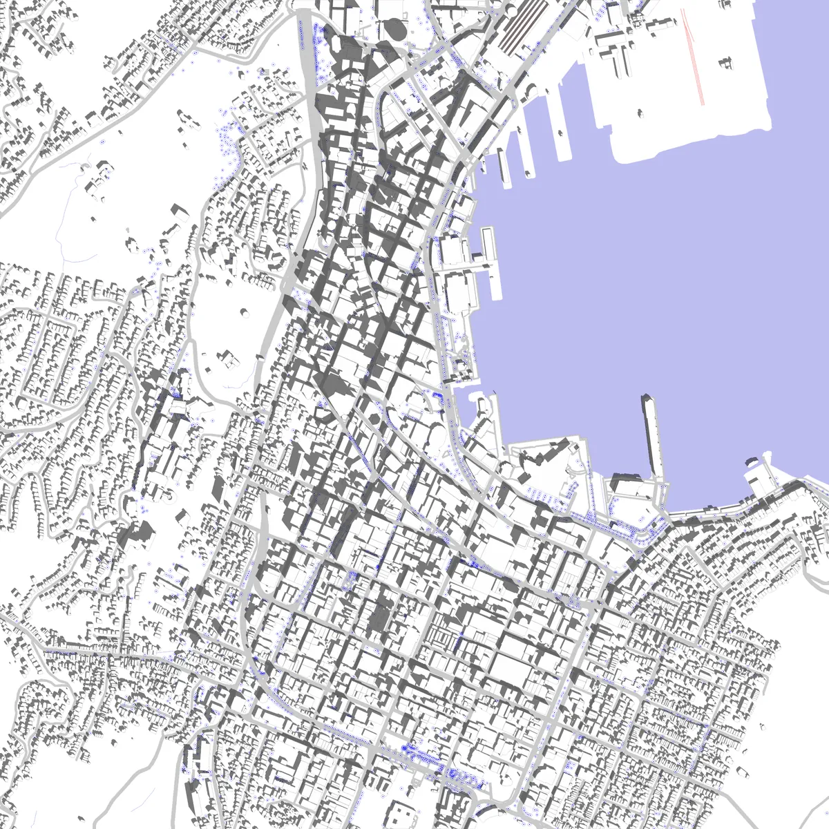 Wellington site plan (2.5 km)